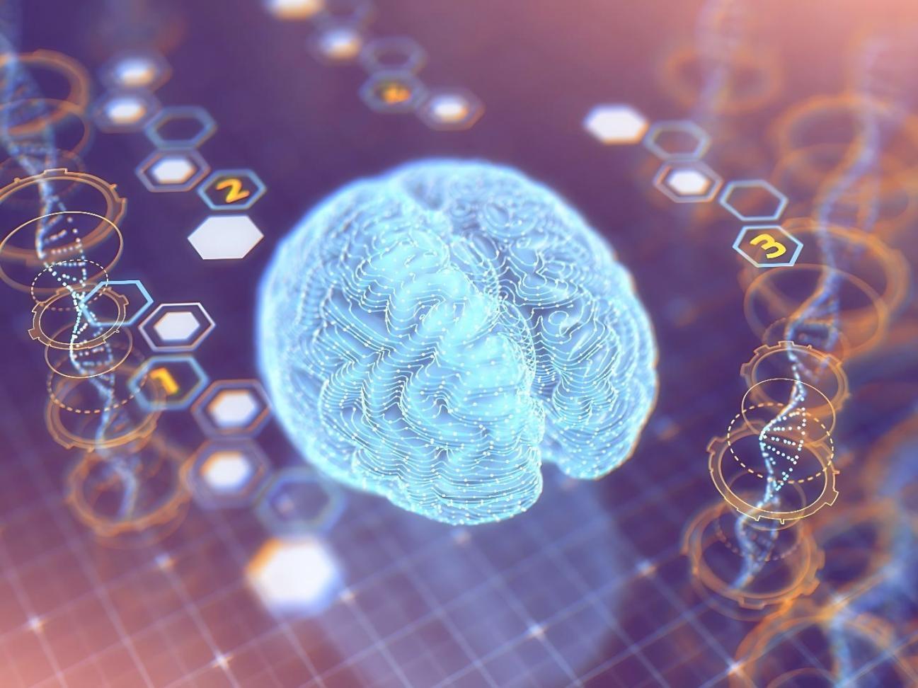 AI learning environment at Trionyx Vision